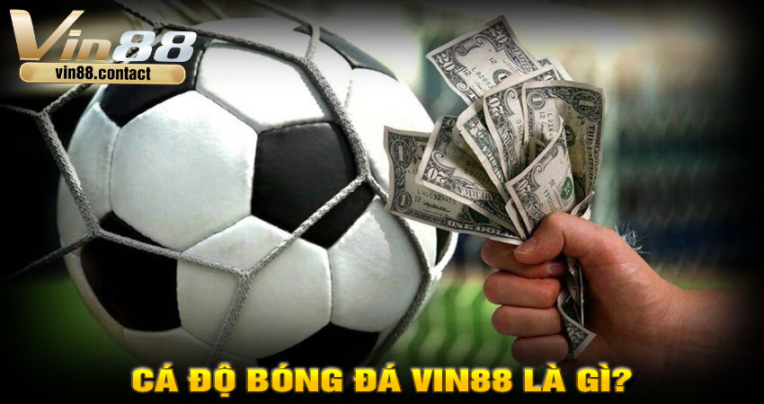 Cá độ bóng đá Vin88 là gì?