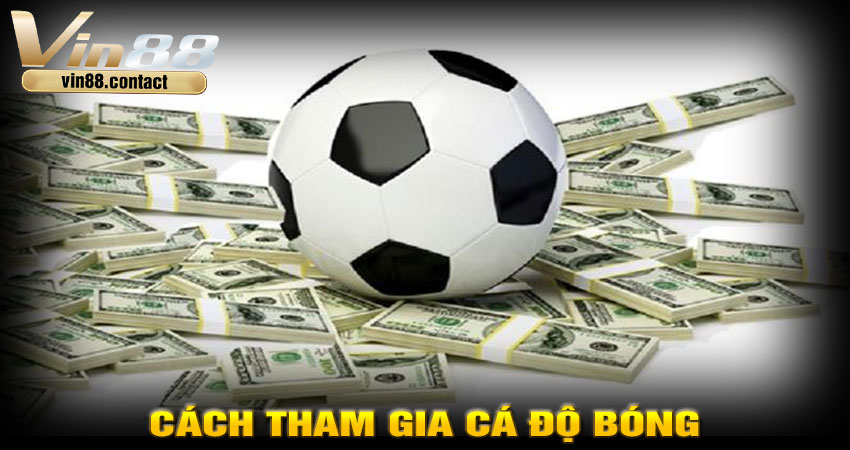 Cách tham gia cá độ bóng đá Vin88 an toàn và đúng luật