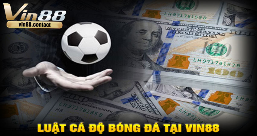 Luật cá độ bóng đá tại Vin88 – Những quy định cơ bản