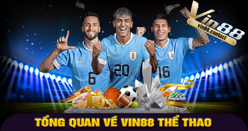 Giới thiệu tổng quan về Vin88 Thể Thao